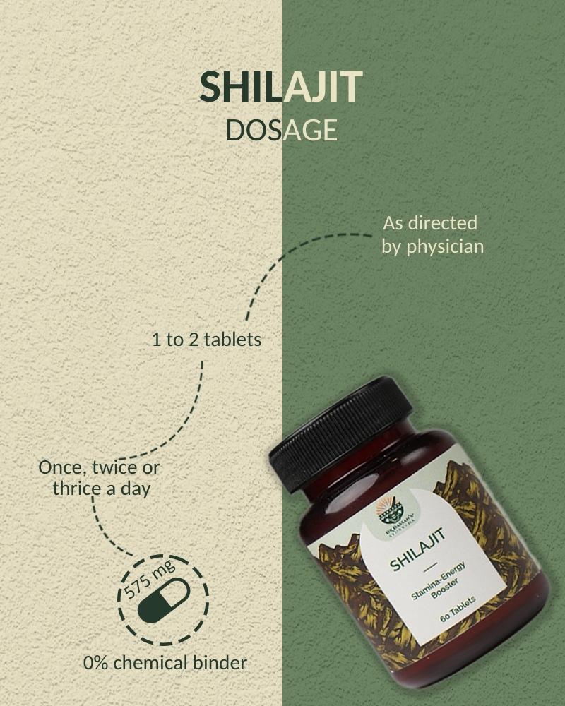 Shilajit Tablets | Strength & Stamina Booster - 60 Tab