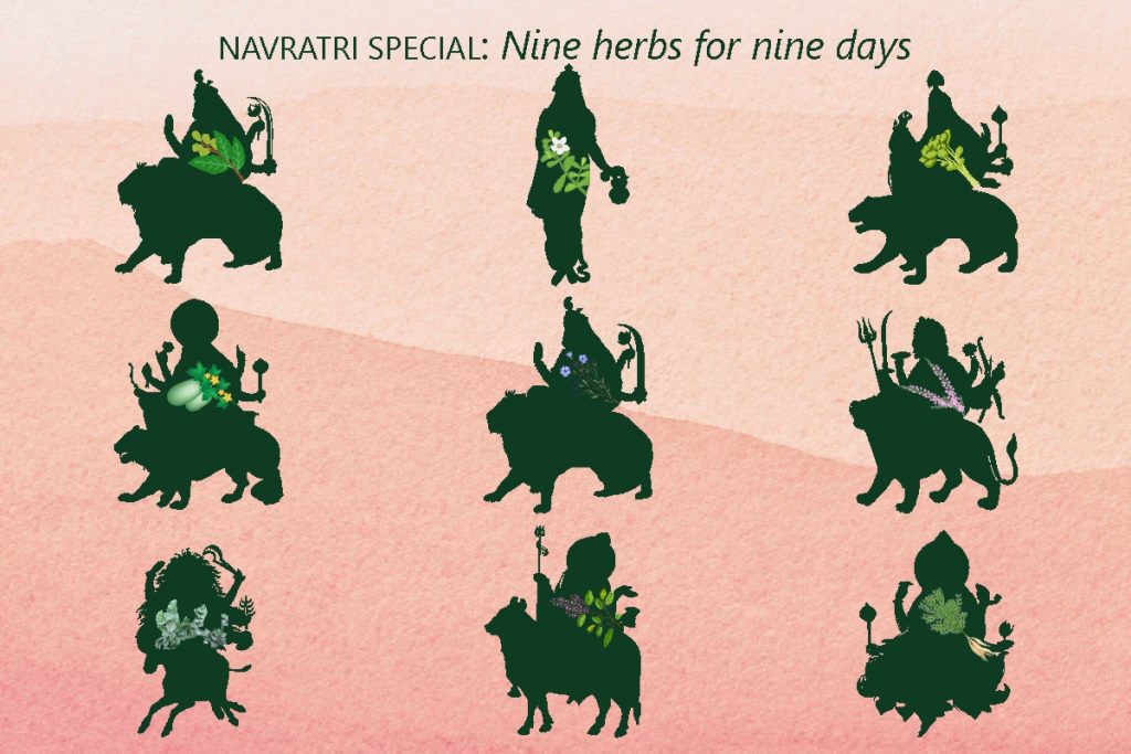 Navratri Special| Nine herbs for nine days