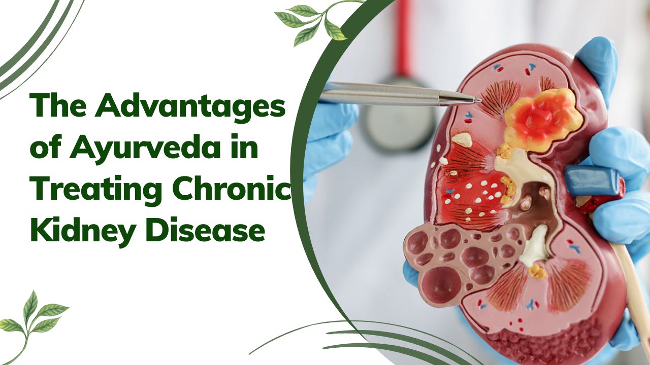 Advantages of Ayurveda in Treating Chronic Kidney Disease
