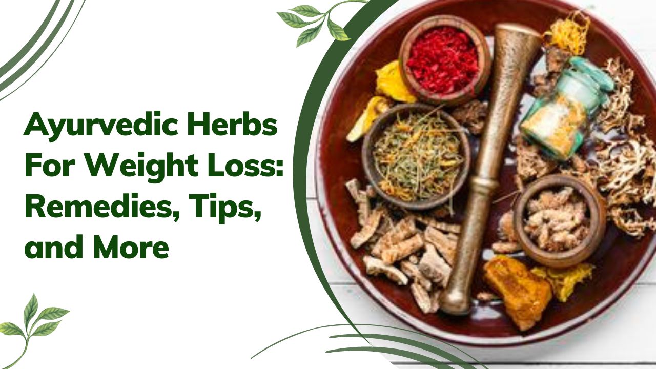Ayurvedic Herbs for Weight Loss