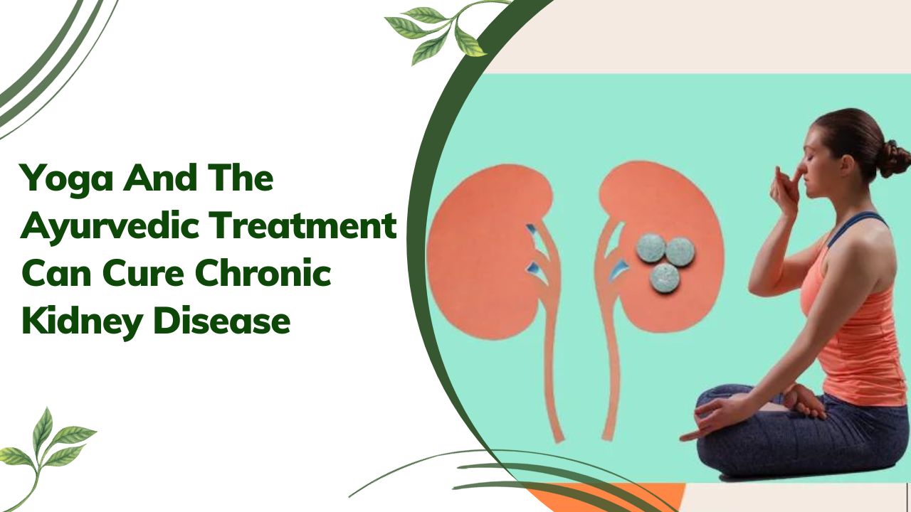 Yoga And The Ayurvedic Treatment Can Cure Chronic Kidney Disease
